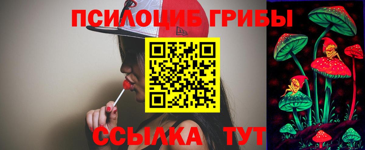Псилоцибиновые грибы мицелий  Вход с VPN  Псилоцибиновые грибы GOLDEN TEACHER  Котлас 